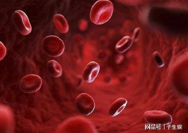 怀孕后必须查梅毒吗 孕妇必须查梅毒吗