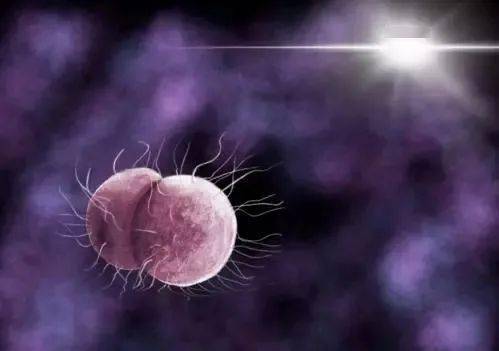 如何避免妊娠梅毒的发生